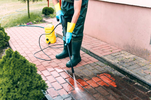 Animal Enclosure Cleaning in Seabrook, TX