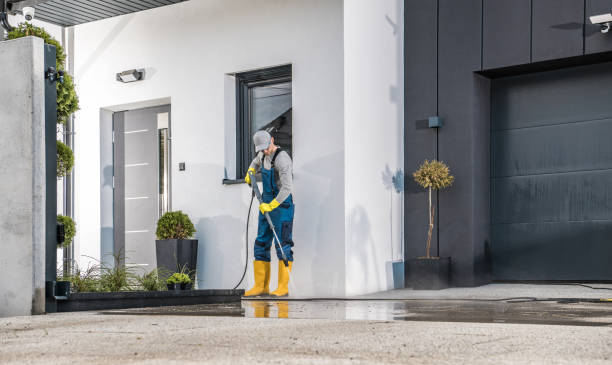 Best Winterizing Services  in Seabrook, TX